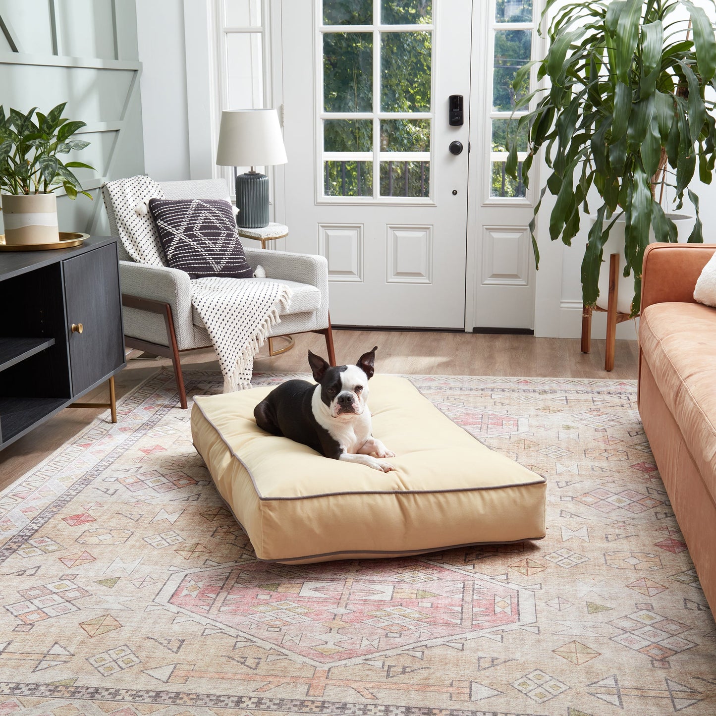 Buster Rectangle Microfiber Pillow Dog Bed